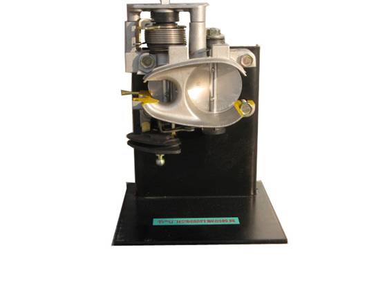 節(jié)氣門(mén)控制元件解剖模型