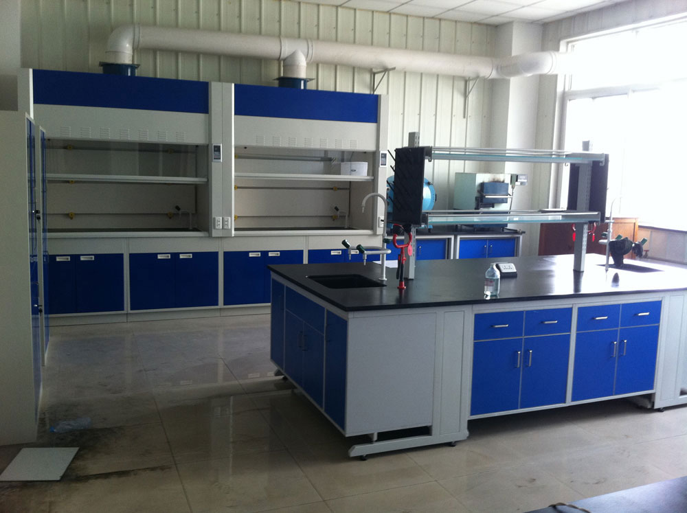 實(shí)驗(yàn)室通風(fēng)柜（標(biāo)準(zhǔn)型、補(bǔ)風(fēng)型、聯(lián)體型、桌上型、落地式、不銹鋼通風(fēng)柜）