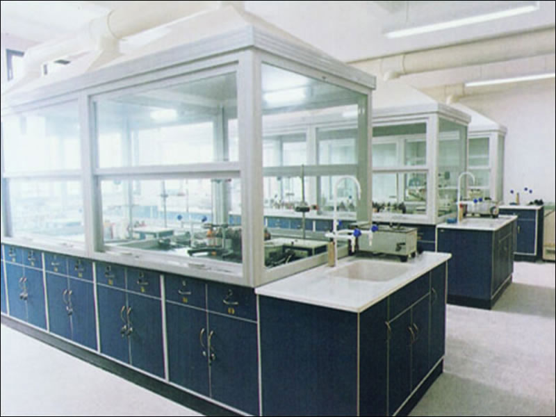 實(shí)驗(yàn)室通風(fēng)柜、毒氣柜